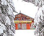 chatel_cha255_150px.jpg chatel_cha255_150px.jpg