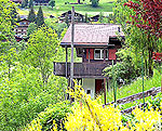grindelwald_grin441_2_150px.jpg grindelwald_grin441_2_150px.jpg
