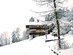 pinzgau_ak77.77_150px.jpg