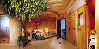 Wellnessbereich Hintertuxerhof