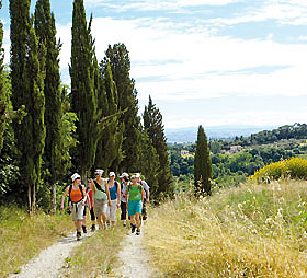 asr_toskana_wandern.jpg - active sports reisen