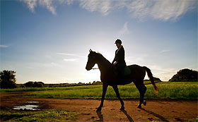 asr_ventimar_reiten.jpg - active sports reisen