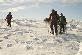 Schneeschuhwandern in Idre / Schweden