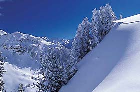 St. Martin de Belleville / Trois Vall�es: Busfahrt