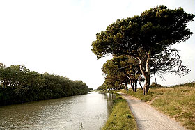 Sommerreise Port-la-Nouvelle