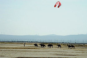 Sommerurlaub Port-la-Nouvelle: Reiten