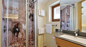 Alpinschl�ssl in Mayrhofen: Badbeispiel