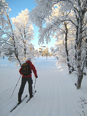 Aktivcamp in Idre / Schweden: Langlauf